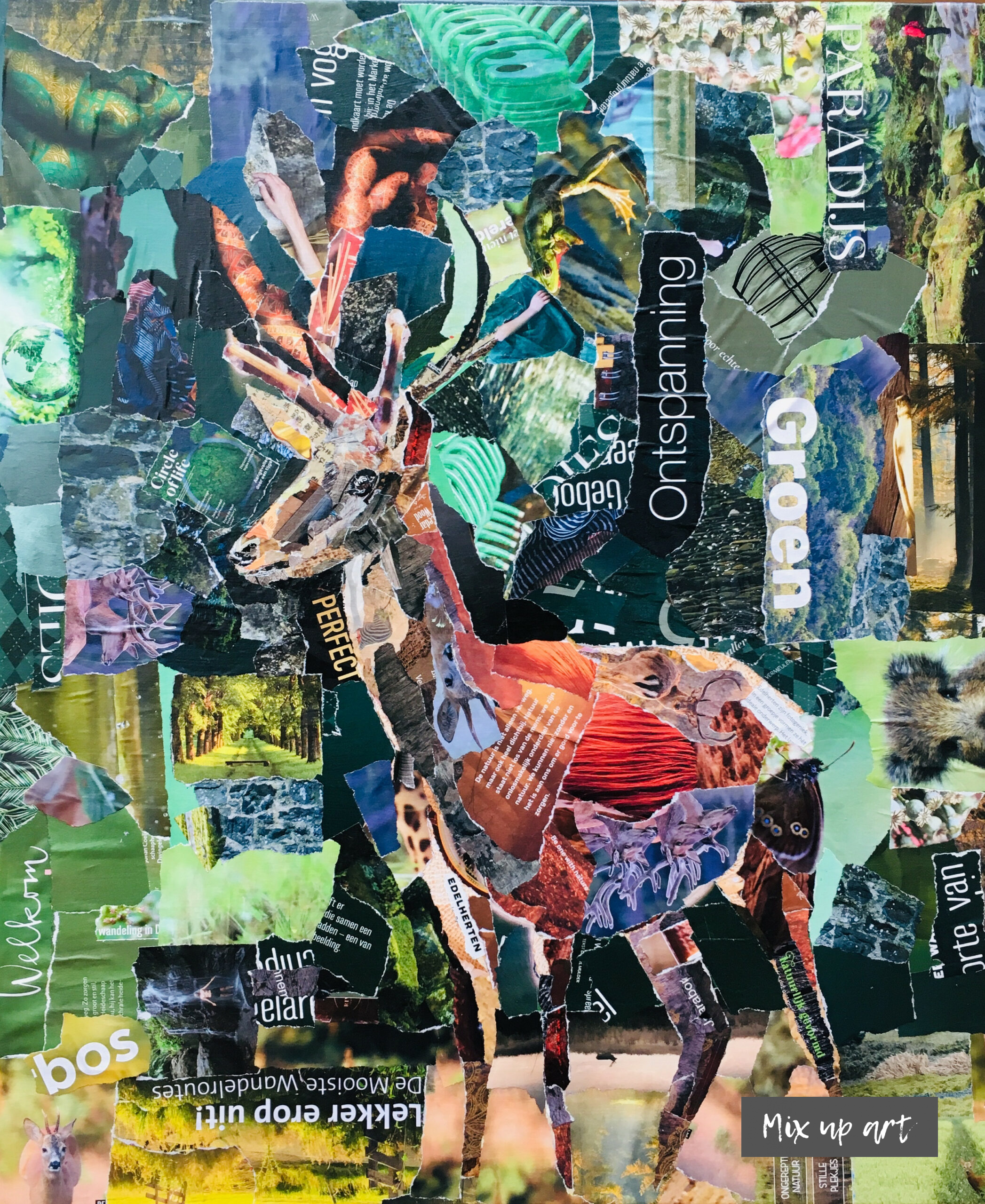 Edelhert Edelhert - € 650,- Collage (50 x 60)