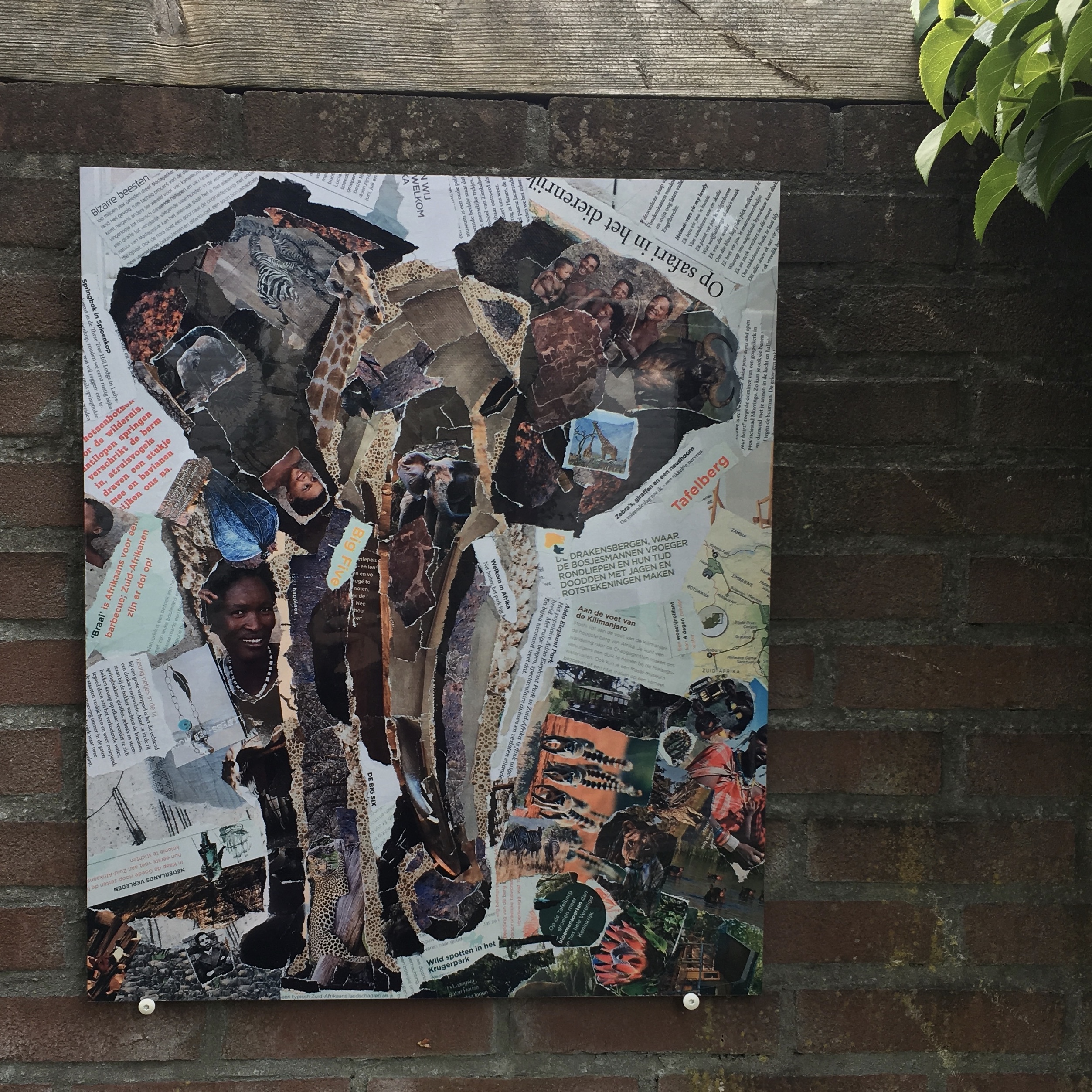 Steelprint ‘Afrika’ Steelprint 'Afrika'