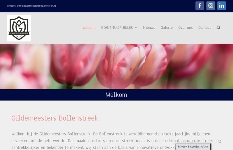 Website Gildemeesters Bollenstreek.nl